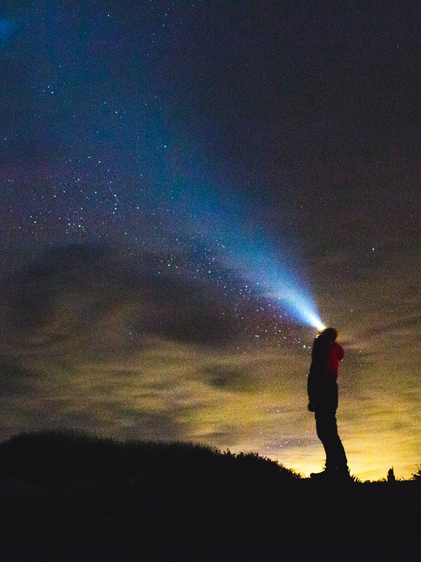 stargaze in jasper horizon quest agency